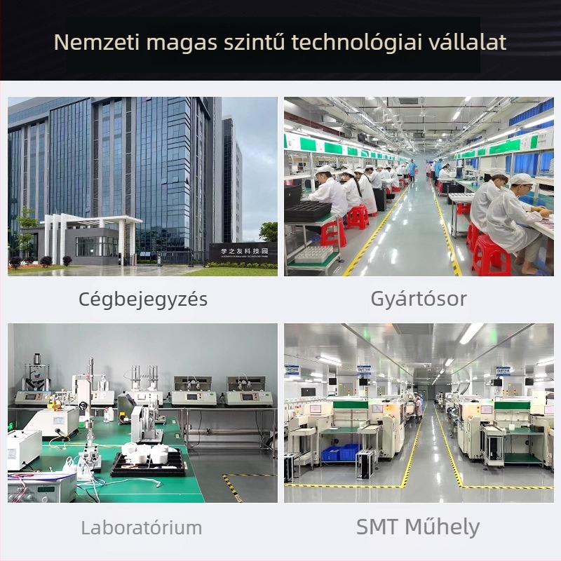 Diákoknak szánt okos szótár toll, testreszabható szókeresés, fordítás és olvasás, MP3 lejátszás, újratölthető Li-ion akkumulátor, 5V tápegység, 1W hangfal; egyedi modell