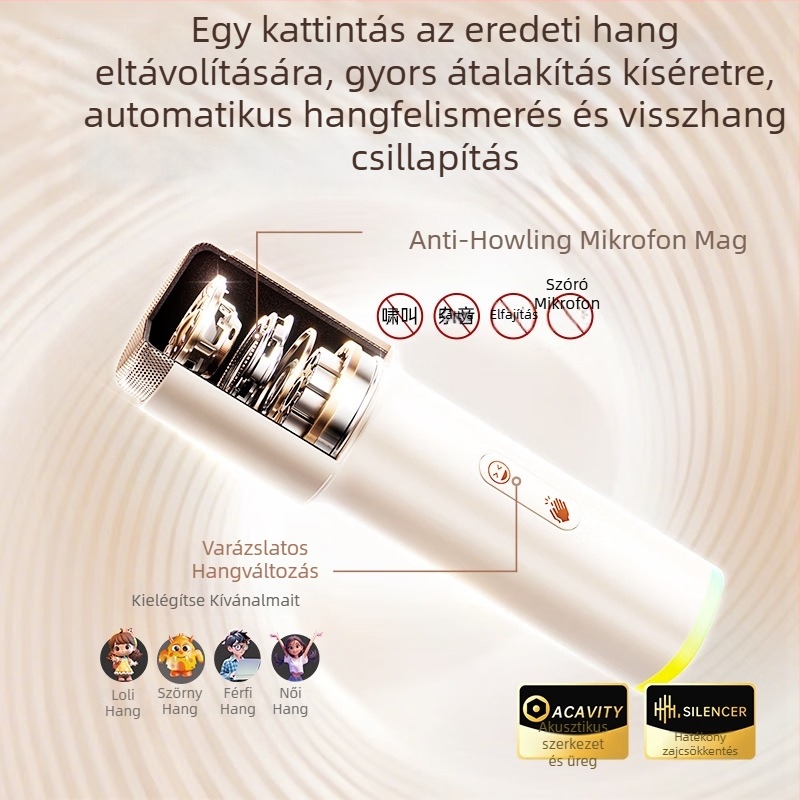 Karaoke hangszóró szöveges kijelzővel és beépített mikrofonnal, Bluetooth 5.0, két hangszóró, 4000–6000 mAh akkumulátor