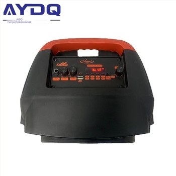 Bluetooth hangszóró kábeles mikrofonnal, két 8 hüvelykes hangszóró, kültéri hordozható hangzás, 30W, Bluetooth 5.0, 40Hz–20kHz, SNR ≥70dB, beépített 800–1000mAh akkumulátor