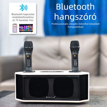 Minden egyben Bluetooth hangszóró vezeték nélkli mikrofonnal hordozható karaokehoz otthon vagy kültéren