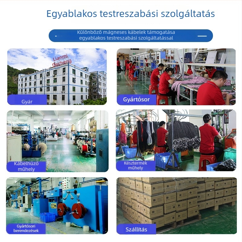 Személyre szabott Type-C mágneses töltőkábel N52 erős mágnessel