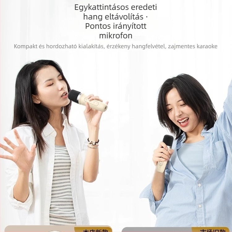 Hordozható mikrofon-hangsugárzó rendszer karaokehoz Bluetooth 5.3, frekvenciatartomány 100Hz-20kHz, SNR ≥70dB, beépített 1200–2000mAh akkumulátor, hatótáv 10 m