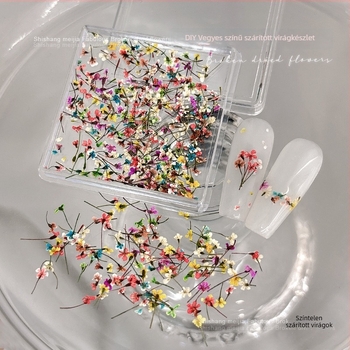 Köröm művészet dekoráció szárított virágokkal — Hercegnő sorozat, flitterek DIY körmök dekorja, virágos mintázat