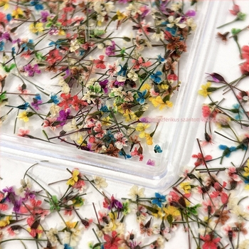 Köröm művészet dekoráció szárított virágokkal — Hercegnő sorozat, flitterek DIY körmök dekorja, virágos mintázat