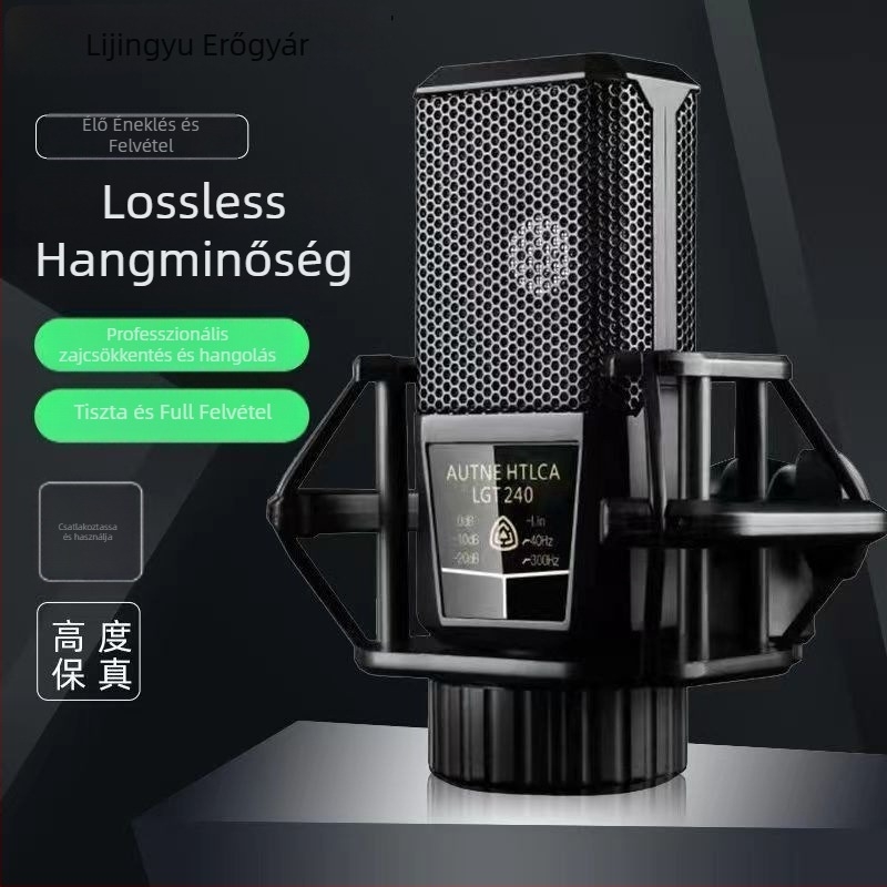 PC Karaoke kondenzátor-mikrofon nagy-diapragma design, beépített 1200-2000 mAh akkumulátor, 8-12 óra élettartam, SNR ≥100 dB, 1 W
