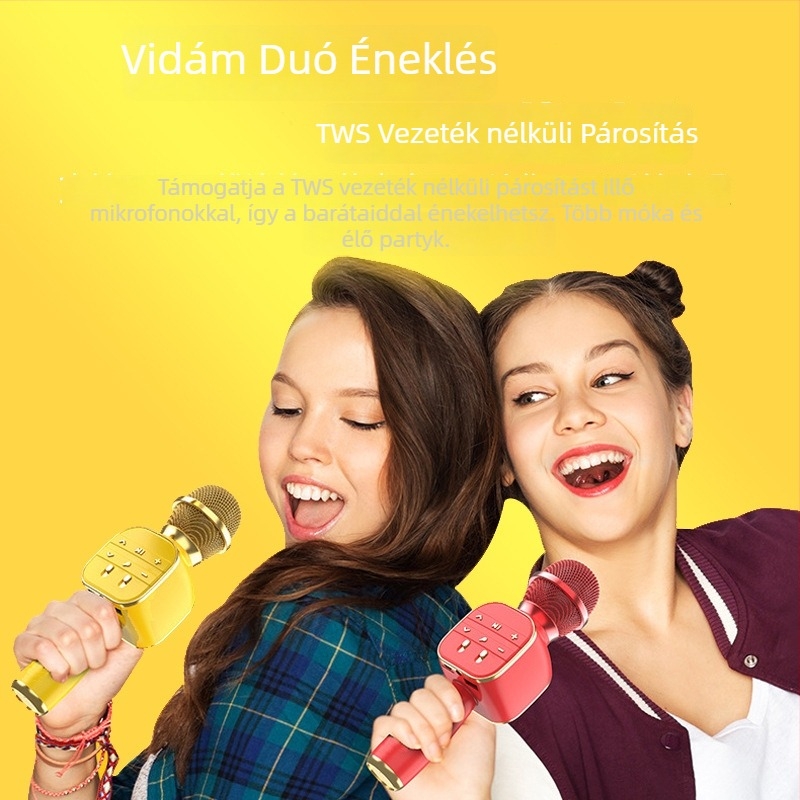 DS813 Integrált hordozható gyerek mikrofon beépített hangszóróval és hangváltóval, Bluetooth 5.3, 1200–2000mAh, 60Hz–15kHz, SNR ≥85dB, 3–6 óra