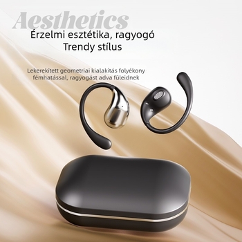EverTouch DW32 AI okos Bluetooth fordító headset utazáshoz – többnyelvű fordító, Bluetooth 4.0, fülhorgos hordozás, iOS és Android kompatibil