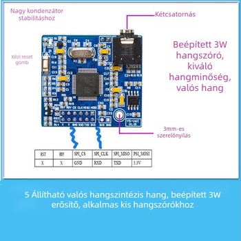 Szövegből beszéd szintézis modul V6E (Márka: Egyéb; Nyomtatott logó: Igen)