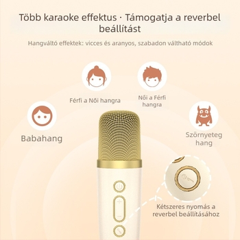 Bluetooth hangsugárzó otthonra, mini hordozható, IPX7 vízálló, 13W kimenet, Bluetooth 5.0, frekvencia-válasz 100Hz-20kHz, SNR ≥70dB