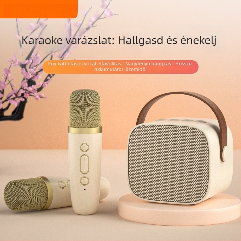 Bluetooth hangsugárzó otthonra, mini hordozható, IPX7 vízálló, 13W kimenet, Bluetooth 5.0, frekvencia-válasz 100Hz-20kHz, SNR ≥70dB