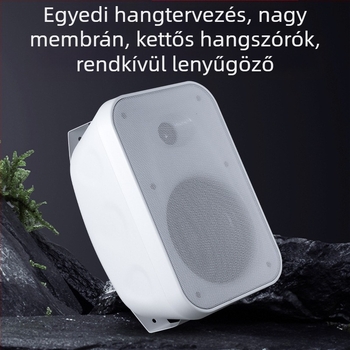 40W/60W falra szerelhető hangfal, kiváló minőségű hangzás üzletek és iskolai konferenciatermek számára, 2-kanálos