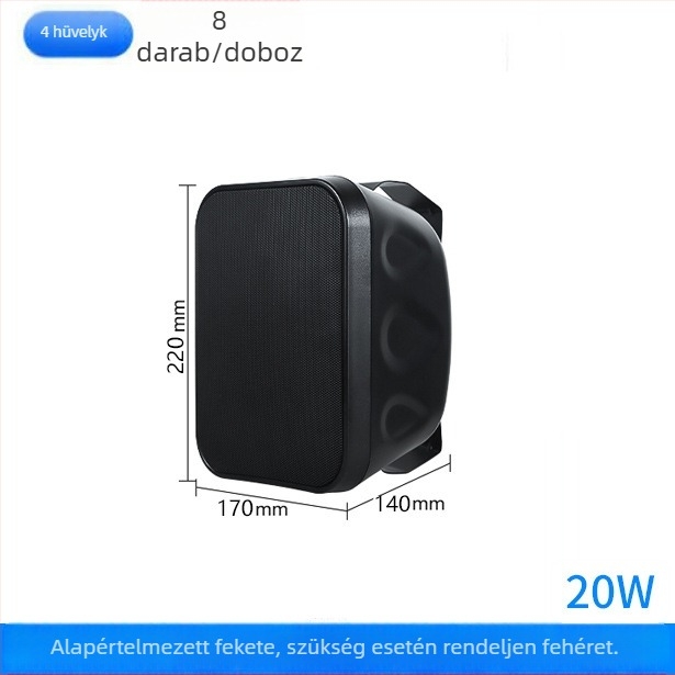 40W/60W falra szerelhető hangfal, kiváló minőségű hangzás üzletek és iskolai konferenciatermek számára, 2-kanálos