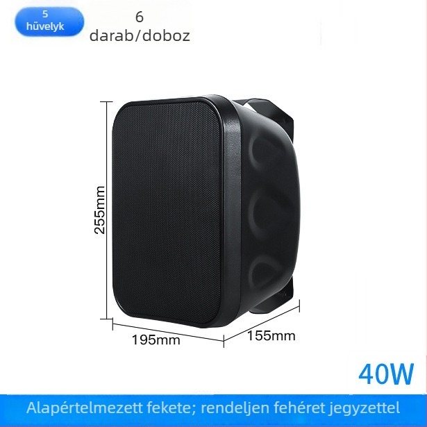 40W/60W falra szerelhető hangfal, kiváló minőségű hangzás üzletek és iskolai konferenciatermek számára, 2-kanálos