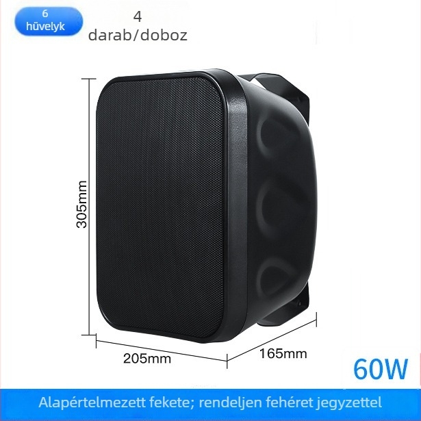 40W/60W falra szerelhető hangfal, kiváló minőségű hangzás üzletek és iskolai konferenciatermek számára, 2-kanálos
