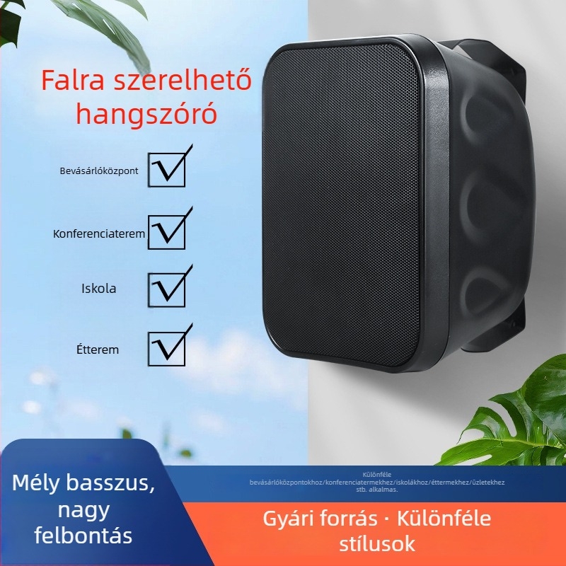 40W/60W falra szerelhető hangfal, kiváló minőségű hangzás üzletek és iskolai konferenciatermek számára, 2-kanálos