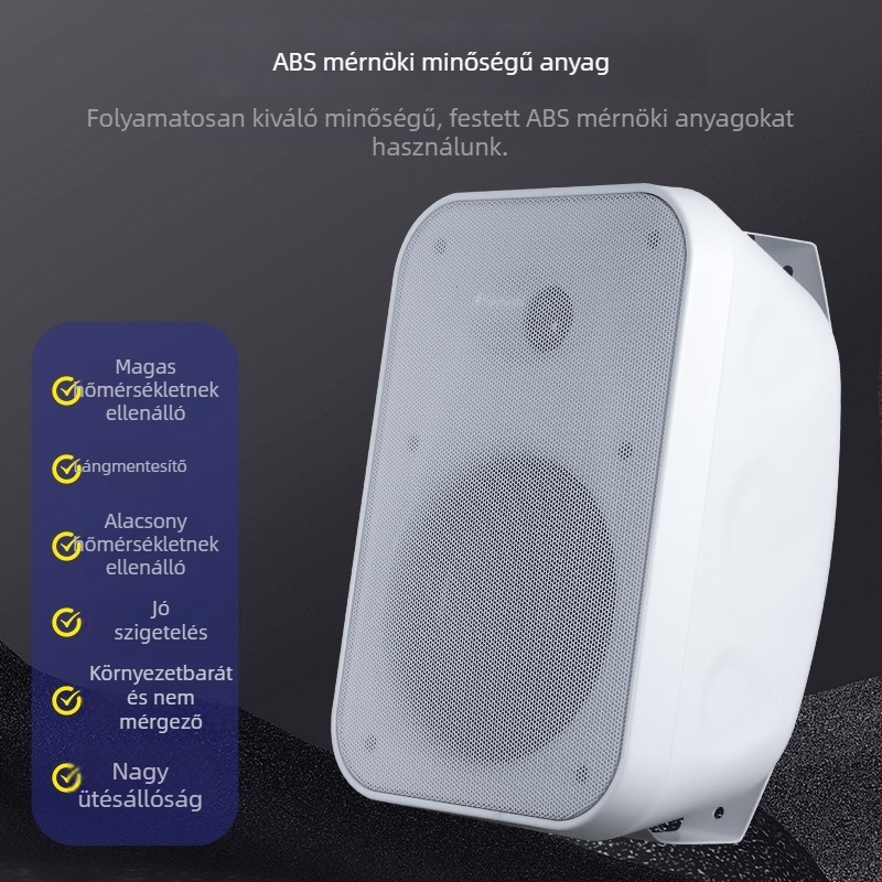 40W/60W falra szerelhető hangfal, kiváló minőségű hangzás üzletek és iskolai konferenciatermek számára, 2-kanálos