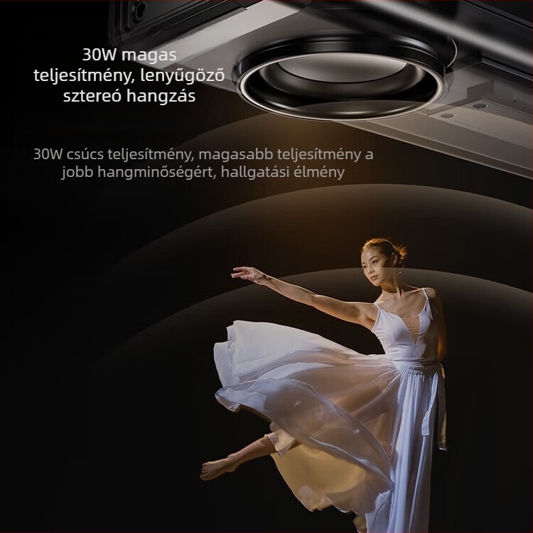 K100 Bluetooth karaoke hangsugárzó rendszer, két hangfallal, Bluetooth 5.3, 30W, beépített akkumulátor 4000–6000 mAh, frekvenciasáv 100 Hz–20 kHz, SNR ≥75 dB