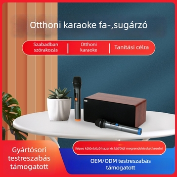 N-S10mini Otthoni KTV Karaoke All-in-One rendszer kettős mikrofonnal, Bluetooth 5.0, 60W, 60Hz-15kHz, SNR ≥70dB, AC tápegység