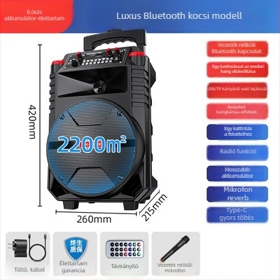 Guoai N1 Square Dance Bluetooth hangszóró beépített 2000–4000mAh akkumulátorral, 30W, Bluetooth 5.0, 10 m hatótávolság, vezeték nélküli mikrofonnal