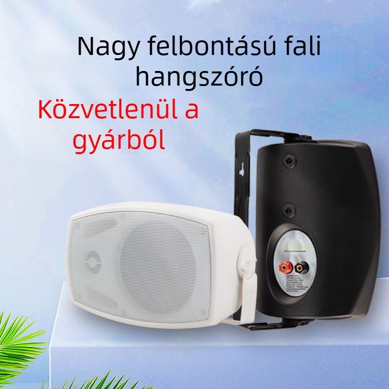 Fali PA hangszóró állandó impedanciával és állandó feszültséggel üzleteknek, szupermarketeknek, bevásárlóközpontoknak és konferenciáknak