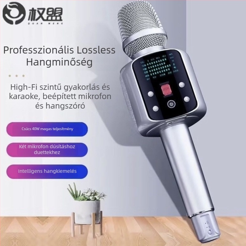 R2Pro karaoke mikrofon beépített hangkártyával – otthoni KTV készlet, állítható hangirányítás, SNR ≥ 70 dB