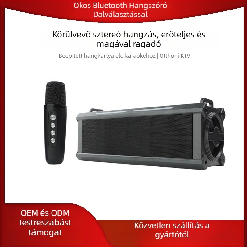 Karaoke Bluetooth hangszóró, hordozható otthoni és kültéri használatra, Bluetooth 5.1; 20W; frekvencia-tartomány 100Hz-20kHz; SNR ≥95dB; IPX4 vízálló