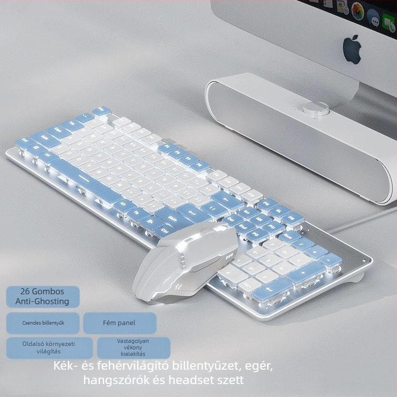 Csendes billentyűzet és egér szett, USB-kábeles, optikai 1600 DPI, háttérvilágítás, ergonómikus, otthon/iroda/játékokra