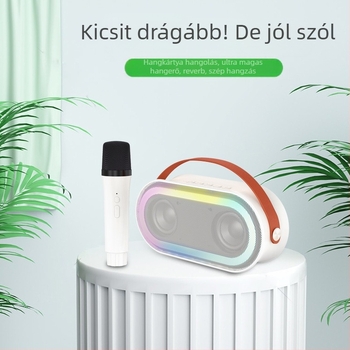 Hordozható Bluetooth karaoke hangfal beépített mikrofonnal — Bluetooth 5.3, 10W, beépített akkumulátor 2000-4000mAh, frekvencia-tartomány 20Hz-20kHz, üzemidő 3-6 óra