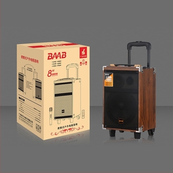BAAB Kültéri karaoke hangfal, 2-hangszórós rendszer, Bluetooth 5.0, 40W, beépített akkumulátor
