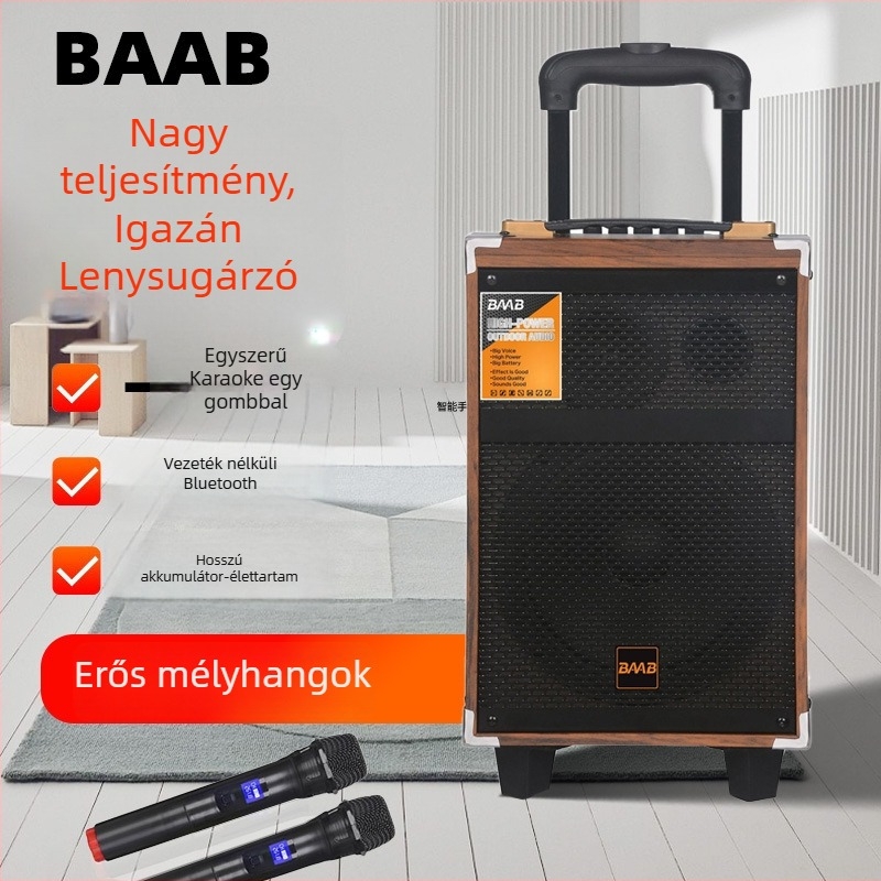 BAAB Kültéri karaoke hangfal, 2-hangszórós rendszer, Bluetooth 5.0, 40W, beépített akkumulátor