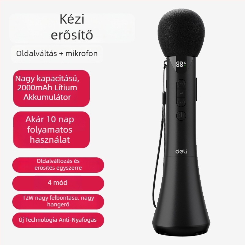 Kézben tartható karaoké erősítő beépített mikrofonnal — modell L-698, 15W kimenet, cserélhető elem, üzemidő több mint 12 óra, 5V tápegység