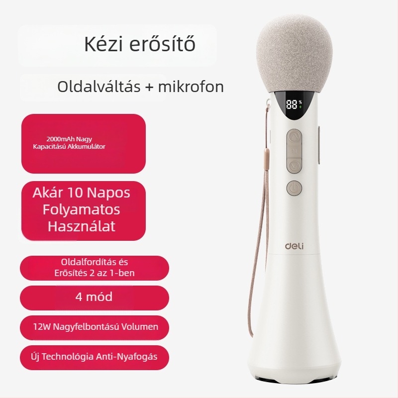 Kézben tartható karaoké erősítő beépített mikrofonnal — modell L-698, 15W kimenet, cserélhető elem, üzemidő több mint 12 óra, 5V tápegység