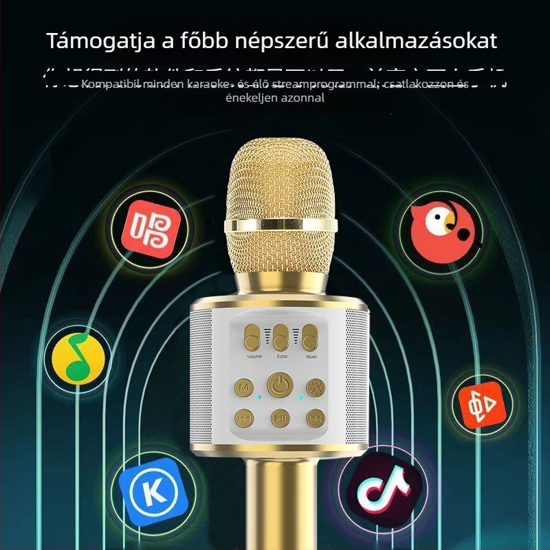 Vezeték nélküli karaoke hangrendszer mikrofonnal, modell Q98, Bluetooth 5.0, 5 W, frekvenciaátvitel 100 Hz–20 kHz, akkumulátor 1000–1200 mAh