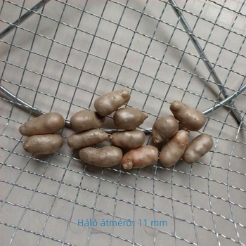 Liszt-szitáló, vastagított, kör alakú vas szita, háztartási használatra