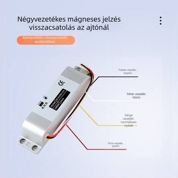 Deyang Enpu felületre szerelt elektromos zár mortise ajtókhoz, üveg/fa/metál ajtókhoz, test korrózus ötvözet test, DC12V/DC24V, 0/3/6 s késleltetés