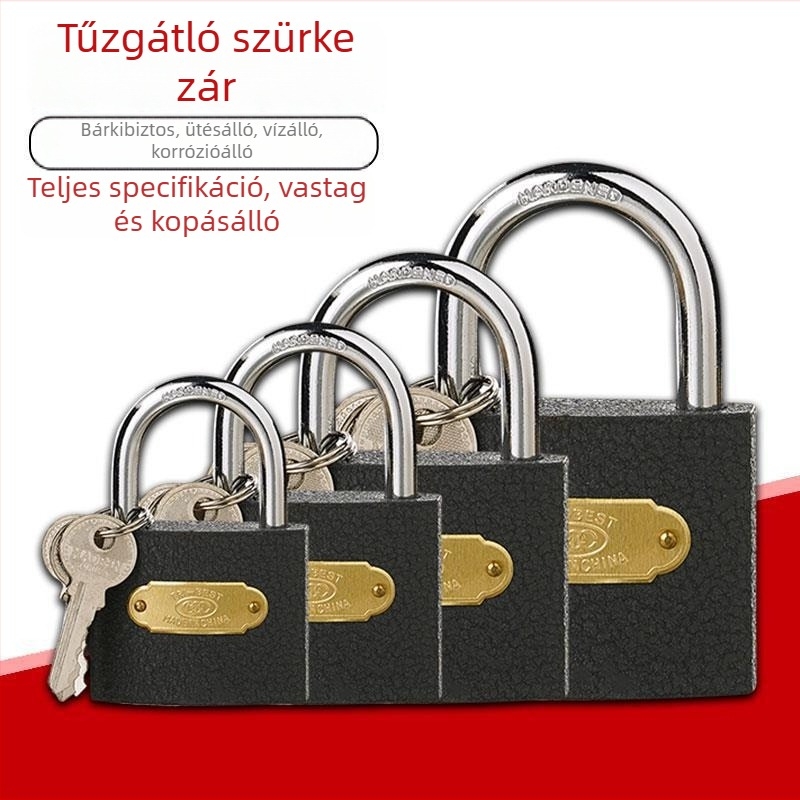 Type C háztartási lakat, vasból, BEST márka, modern letisztult stílus, szupermarketek, gyárak és irodák számára