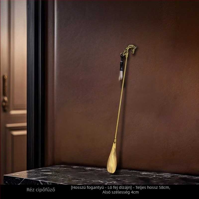 Z.a Tükörfényes rozsdamentes acélból készült önálló cipőhúzó hosszú nyéllel, előcsarnokhoz, tavasz