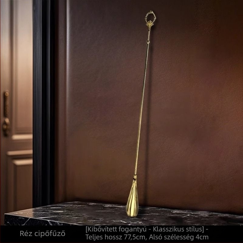 Z.a Tükörfényes rozsdamentes acélból készült önálló cipőhúzó hosszú nyéllel, előcsarnokhoz, tavasz