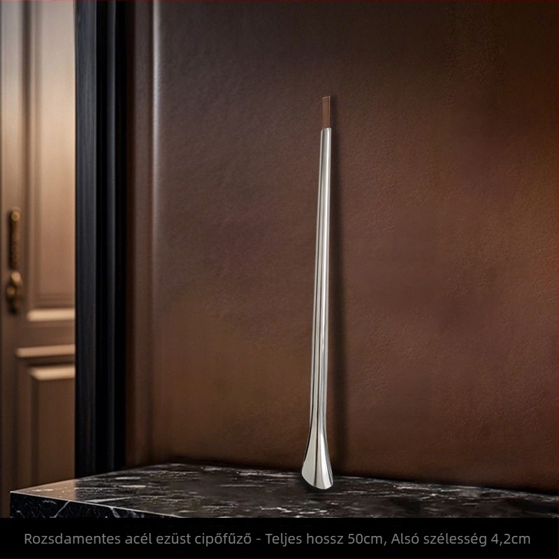 Z.a Tükörfényes rozsdamentes acélból készült önálló cipőhúzó hosszú nyéllel, előcsarnokhoz, tavasz