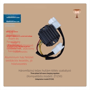 ZY250 motorkerékpár feszültségszabályozó, 12V 500W