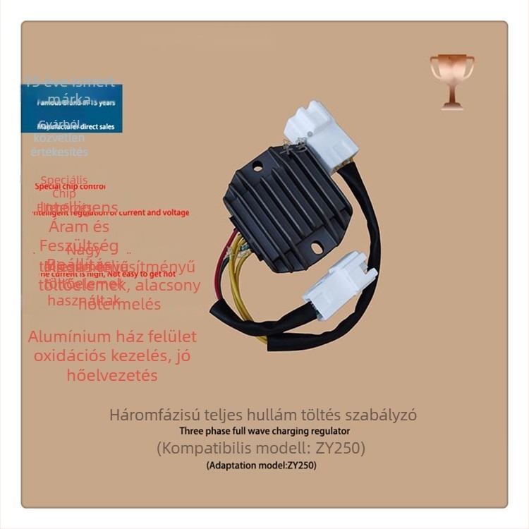 ZY250 motorkerékpár feszültségszabályozó, 12V 500W