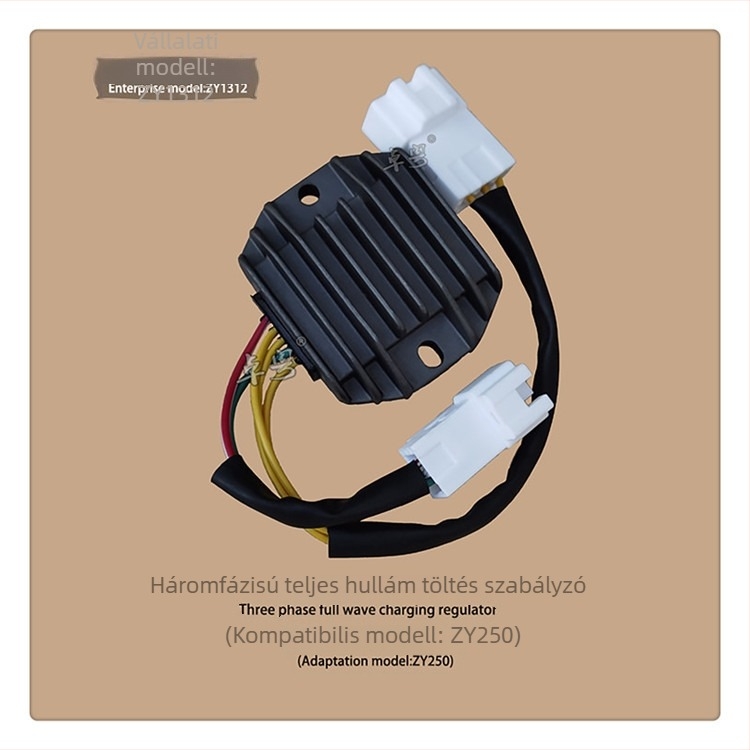 ZY250 motorkerékpár feszültségszabályozó, 12V 500W