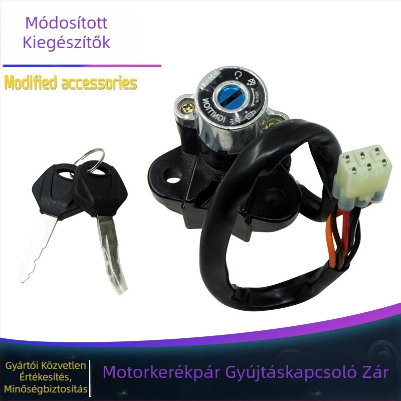 Motorkerékpár elektromos zárszett – Carl, modell DMS-GSXR600, univerzális kompatibilitás, testreszabható megrendelésre