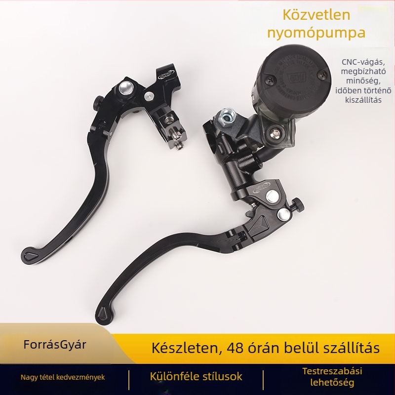 Motorkerékpár CNC Módosított Közvetlen Nyomású Felső Pumpa, Kettős Tárcsás Fék, Két Ujj Fékkar, Univerzális Adapter (Modell BMSB03)