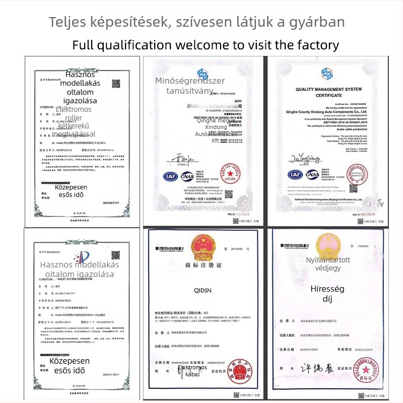 Gáz- és fékkábel készlet elektromos járművekhez – testreszabható több modellhez, Qi desheng márka, General modell, XD-695 kód