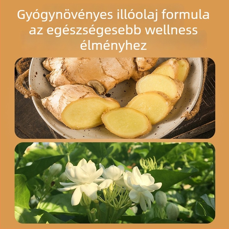 Moxa termékek – Anyag: Üröm; Stílus: Önmelegítő tapasz; Tapadás: 1; Termékkód: 1; Modell: 1