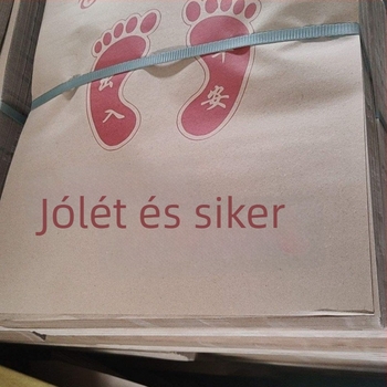 Gyapjúból készült autópadló-mat, 20 mm vastagság, Audi A6L-kompatibilis, dedikált járműfedés, súly 10 kg