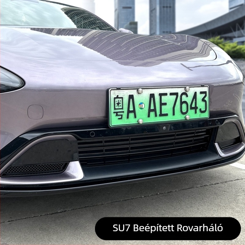 Autó előtti lökhárító rovarháló – grille módosításhoz; Anyag: ABS; Nyílás: 2; Üzemidő: 2–5 év