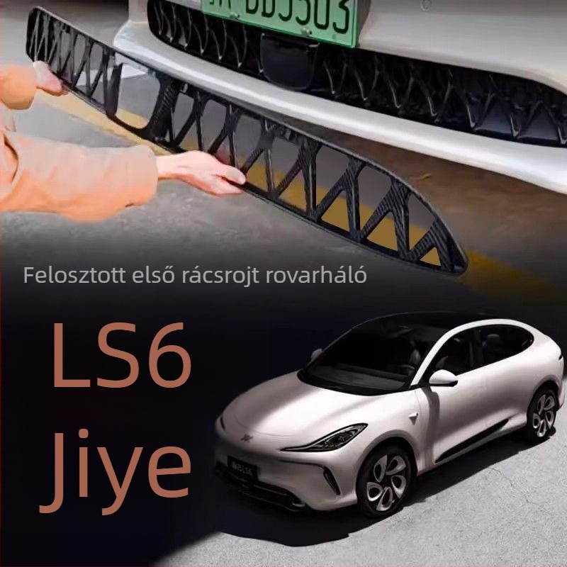 Autós rovarháló gravírozott kivitelezéssel és nemzeti trend stílussal a védelemért és dekorációért