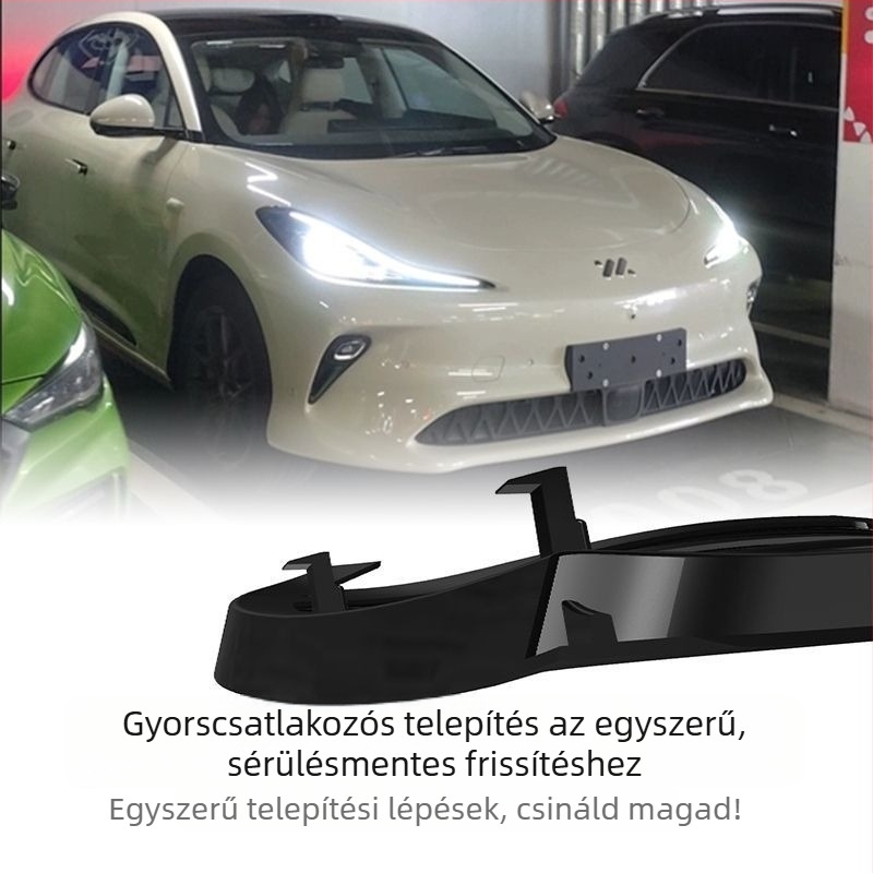 Autós rovarháló gravírozott kivitelezéssel és nemzeti trend stílussal a védelemért és dekorációért